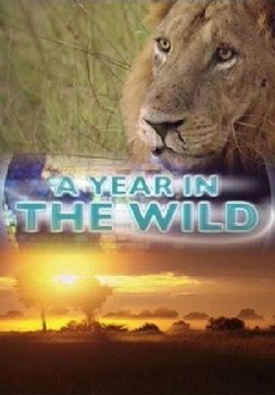 Дикая природа и времена года — A Year in the Wild (2014)