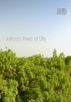 Древо жизни — Africa’s Trees of Life (2015)