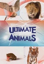 Увлекательная зоология — Ultimate Animals (2015)