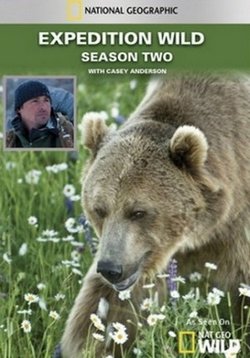 Кейси и Брут: в мире медведей — Expedition Wild With Casey Anderson (2010)
