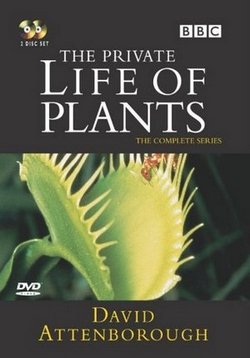 Невидимая жизнь растений — The Private Life of Plants (1995)