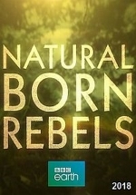 Прирожденные бунтари — Natural Born Rebels (2019)