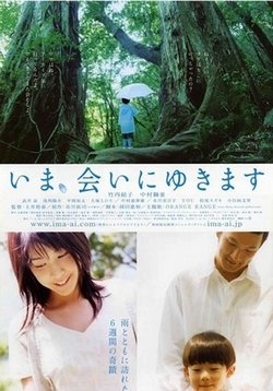 Я вернусь с дождём — Ima Ai ni Yukimasu (2005)