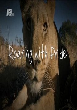 Львиный рык — Roaring with Pride (2013)