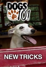 Собаковедение: Новые истории — DOGS 101 New Tricks (2016)