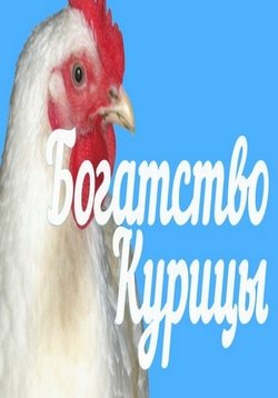 Богатство курицы — Bogatstvo kuricy (2014)