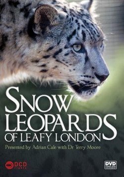 Снежный барс в зеленом Лондоне — Snow Leopards of Leafy London (2013)