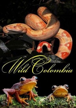 Дикая Колумбия — Wild Colombia (2014)