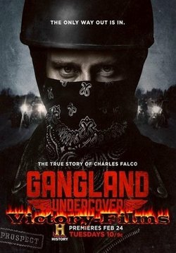Под прикрытием — Gangland Undercover (2015-2017) 1,2 сезоны