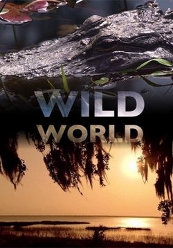 Мир Дикой Природы — Wild World (2010-2014) 1,2,3,4 сезоны