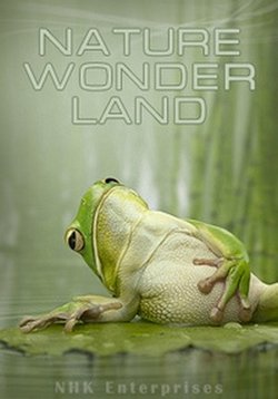 Мир живой природы VI (Чудеса природы) — Nature Wonder Land VI (2012)