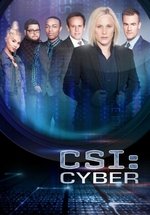 Место преступления: Киберпространство — CSI: Cyber (2015-2016) 1,2 сезоны