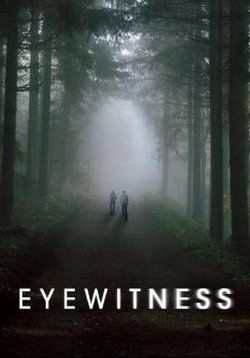 Свидетели (Очевидцы) — Eyewitness (2016)