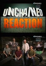 Цепная реакция — Unchained Reaction (2012)