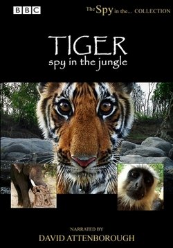 Тигр – Шпион джунглей — Tiger: Spy in the Jungle (2008)