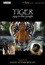 Тигр – Шпион джунглей — Tiger: Spy in the Jungle (2008)
