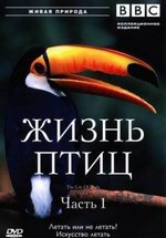Жизнь птиц — The Life of Birds (1998)
