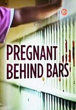 Беременные за решеткой — Pregnant behind bars (2013)