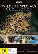 Наедине с природой — Wildlife on ONE (1977-2005)
