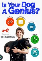 Насколько умна Ваша собака? — Your dog genius? (2014)