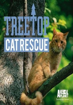Снимите кошку с дерева — Treetop Cat Rescue (2015)
